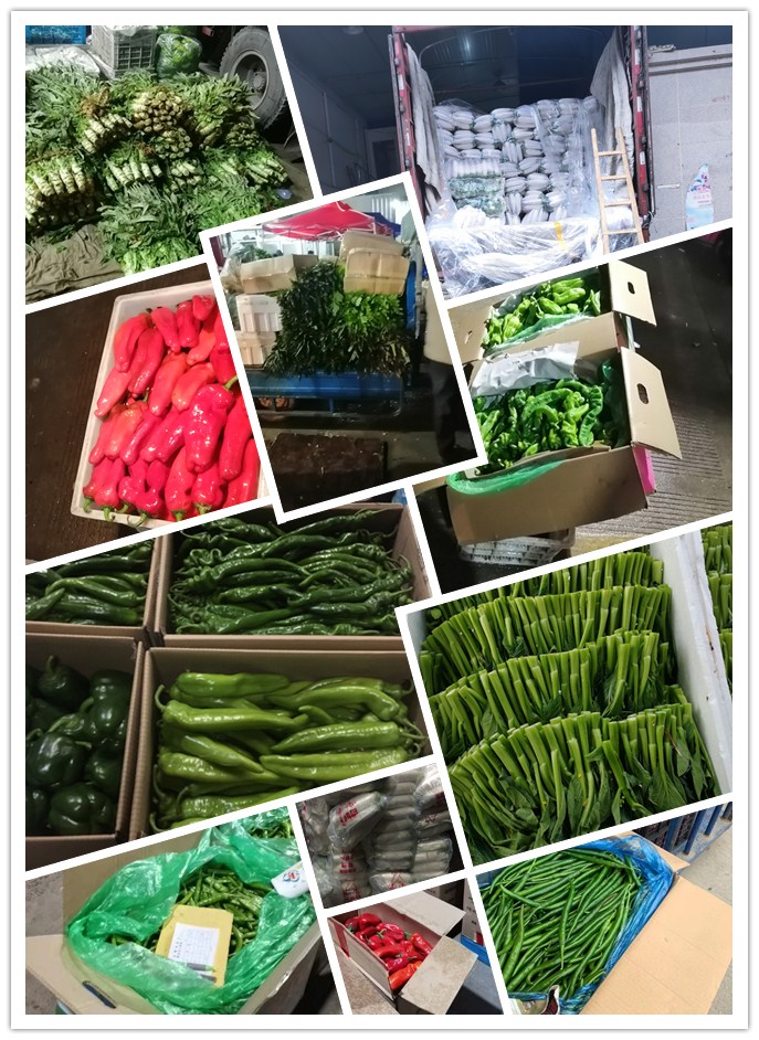 beat·365(中国)唯一官方网站