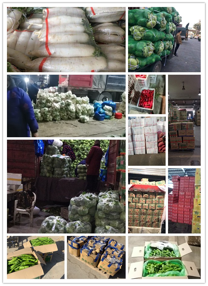 beat·365(中国)唯一官方网站