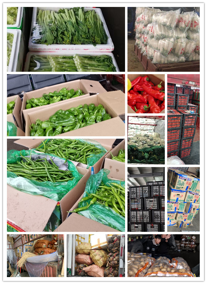 beat·365(中国)唯一官方网站