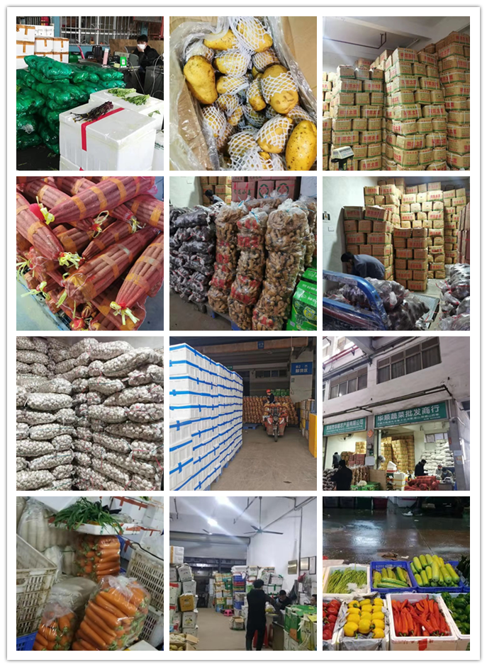 beat·365(中国)唯一官方网站