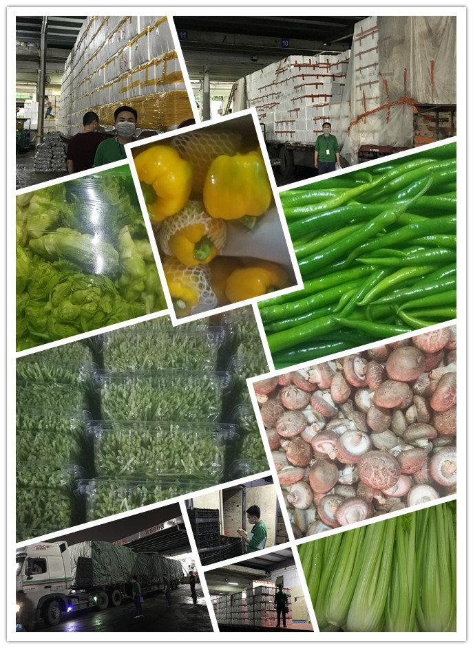 beat·365(中国)唯一官方网站