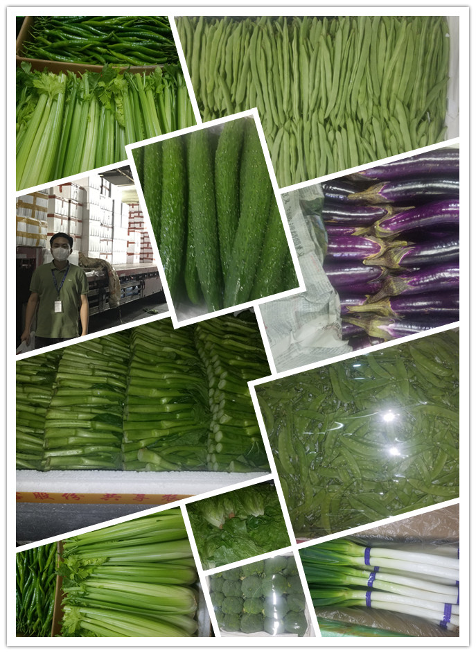 beat·365(中国)唯一官方网站