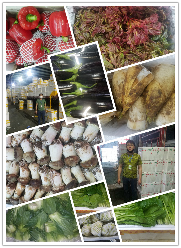 beat·365(中国)唯一官方网站