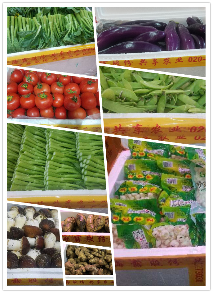 beat·365(中国)唯一官方网站