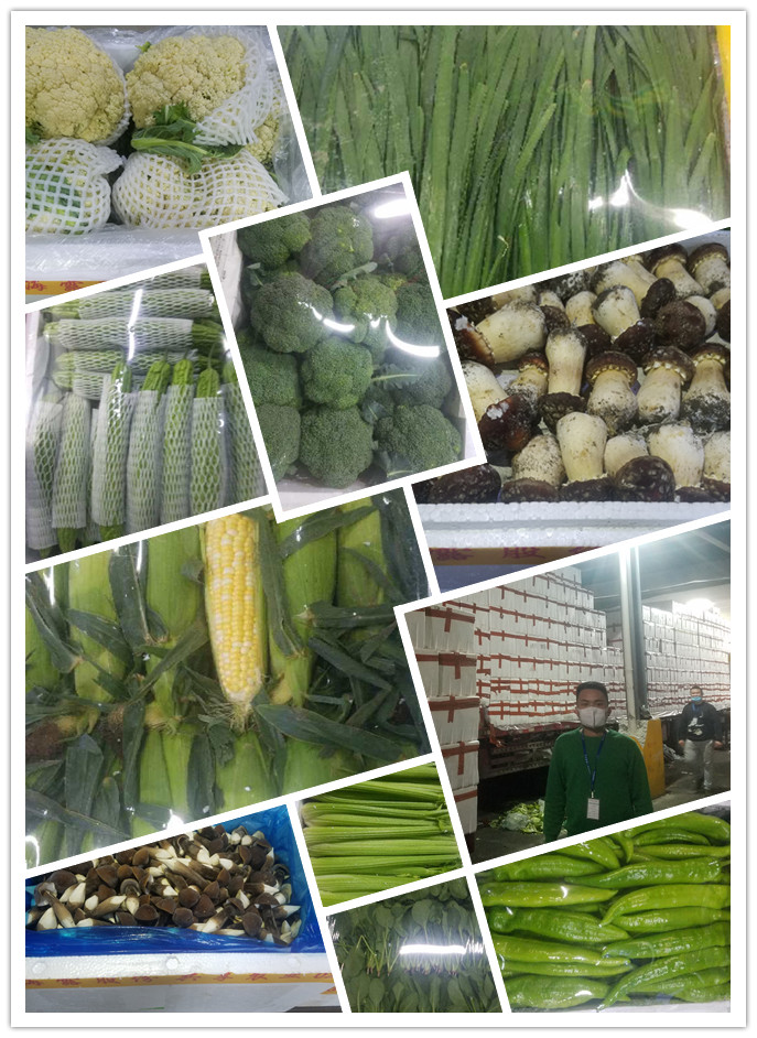 beat·365(中国)唯一官方网站