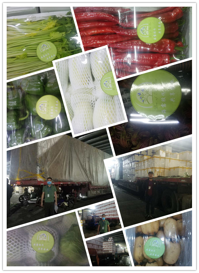 beat·365(中国)唯一官方网站