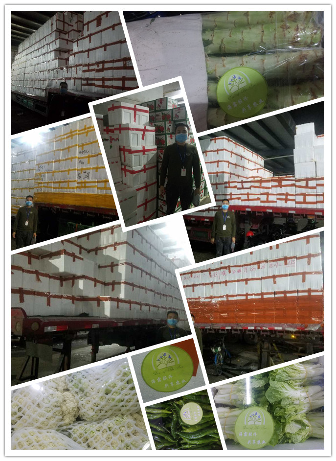 beat·365(中国)唯一官方网站