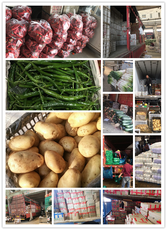 beat·365(中国)唯一官方网站