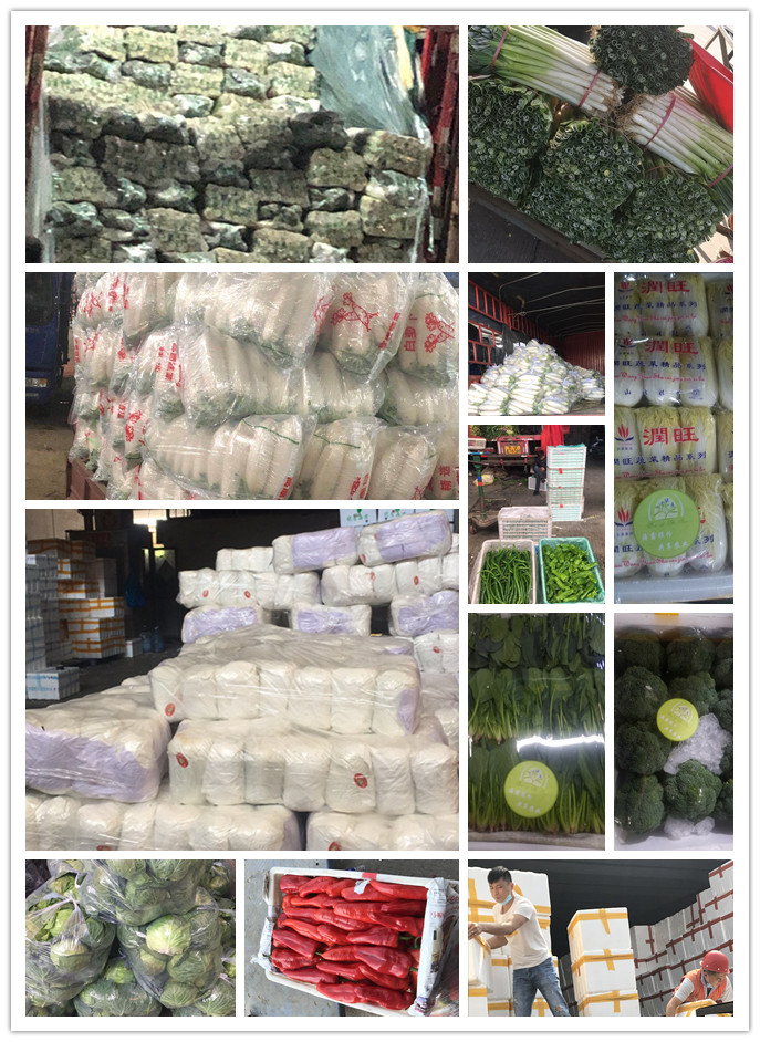 beat·365(中国)唯一官方网站