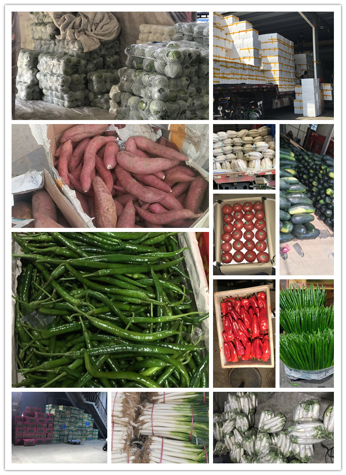 beat·365(中国)唯一官方网站