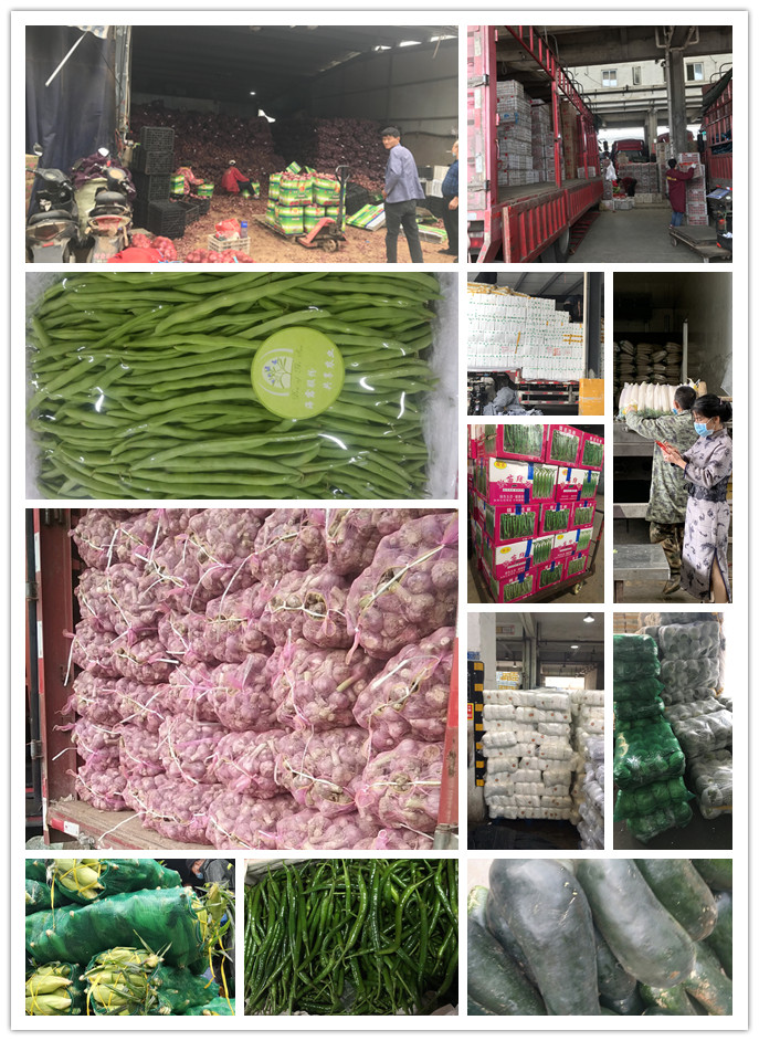 beat·365(中国)唯一官方网站