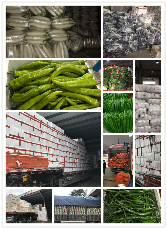 beat·365(中国)唯一官方网站