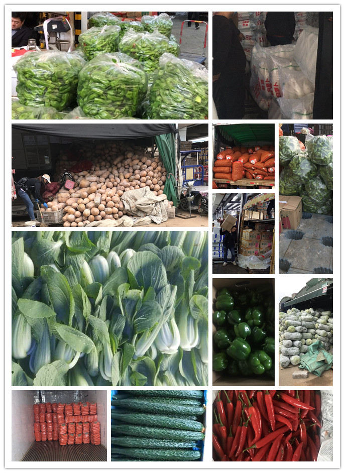 beat·365(中国)唯一官方网站