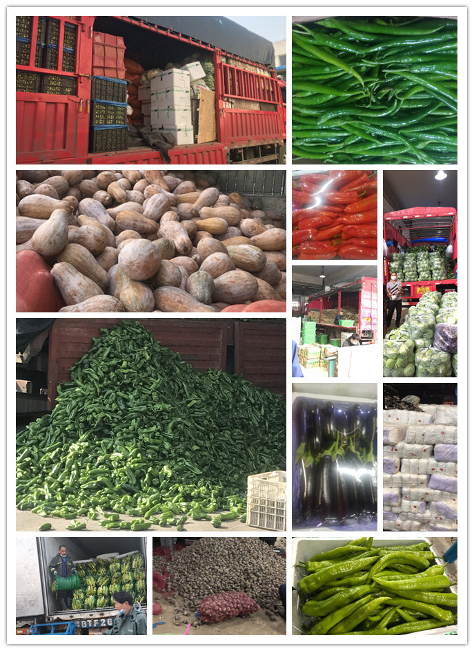 beat·365(中国)唯一官方网站