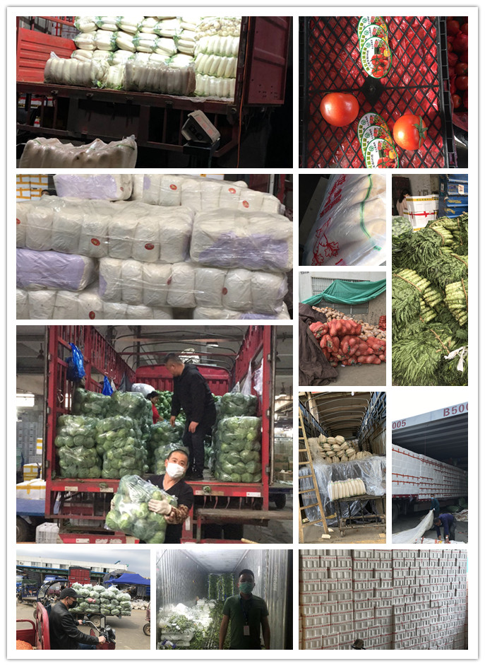 beat·365(中国)唯一官方网站