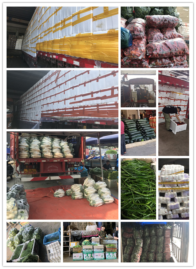 beat·365(中国)唯一官方网站