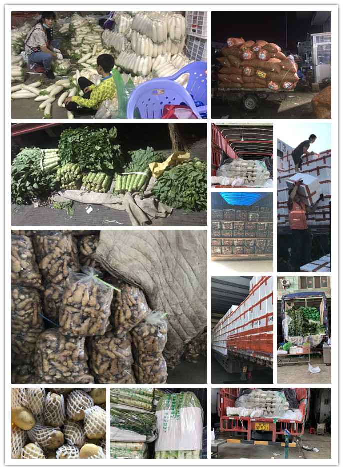 beat·365(中国)唯一官方网站