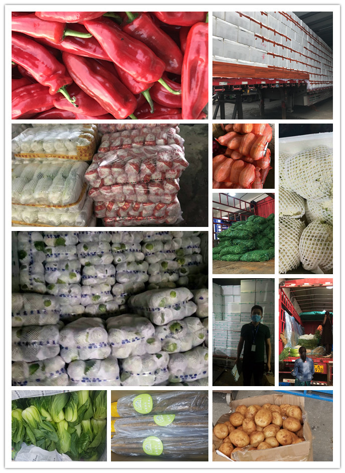 beat·365(中国)唯一官方网站