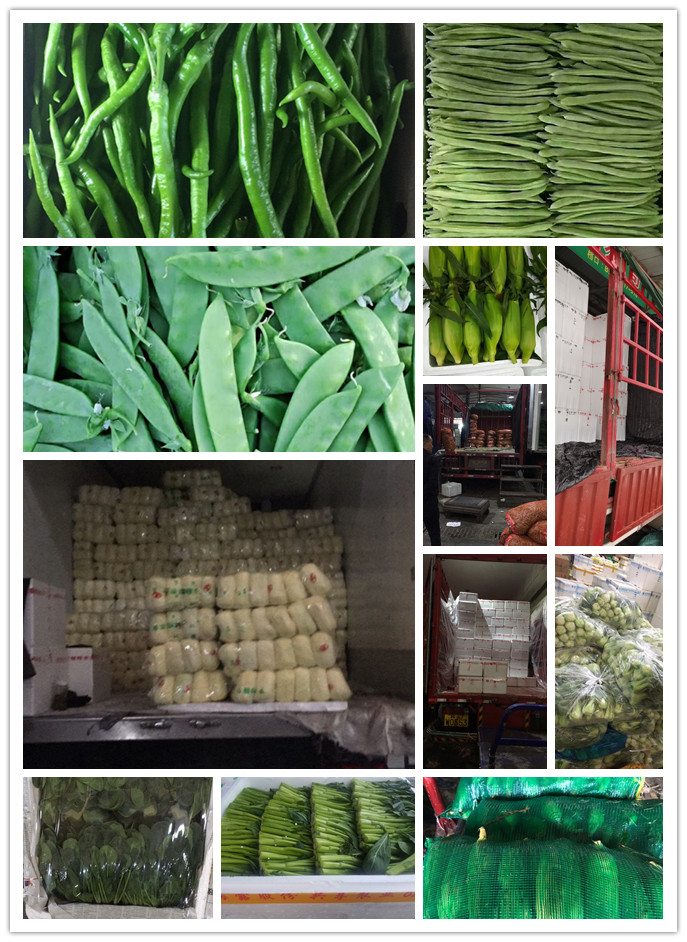 beat·365(中国)唯一官方网站