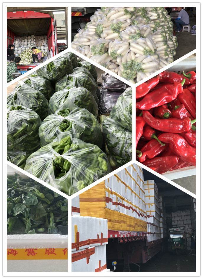 beat·365(中国)唯一官方网站