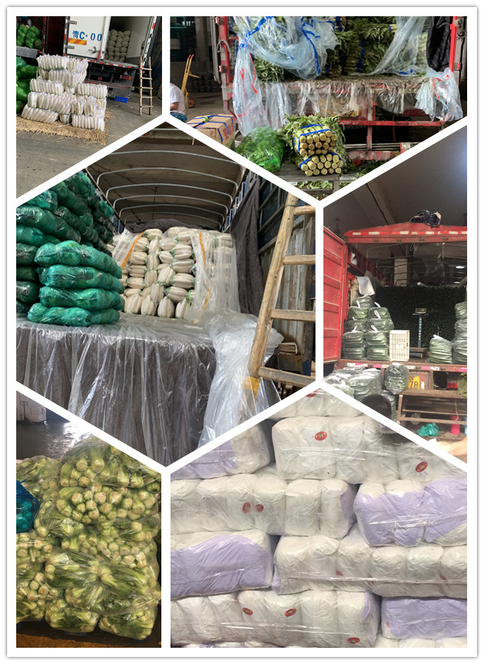 beat·365(中国)唯一官方网站