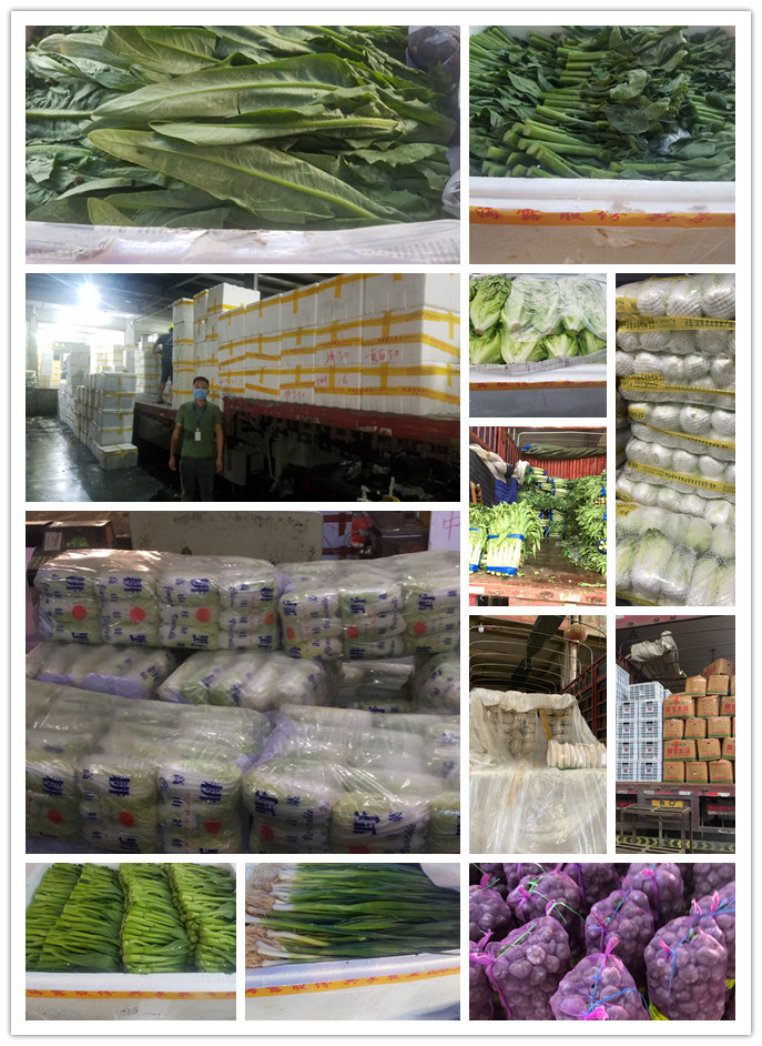 beat·365(中国)唯一官方网站