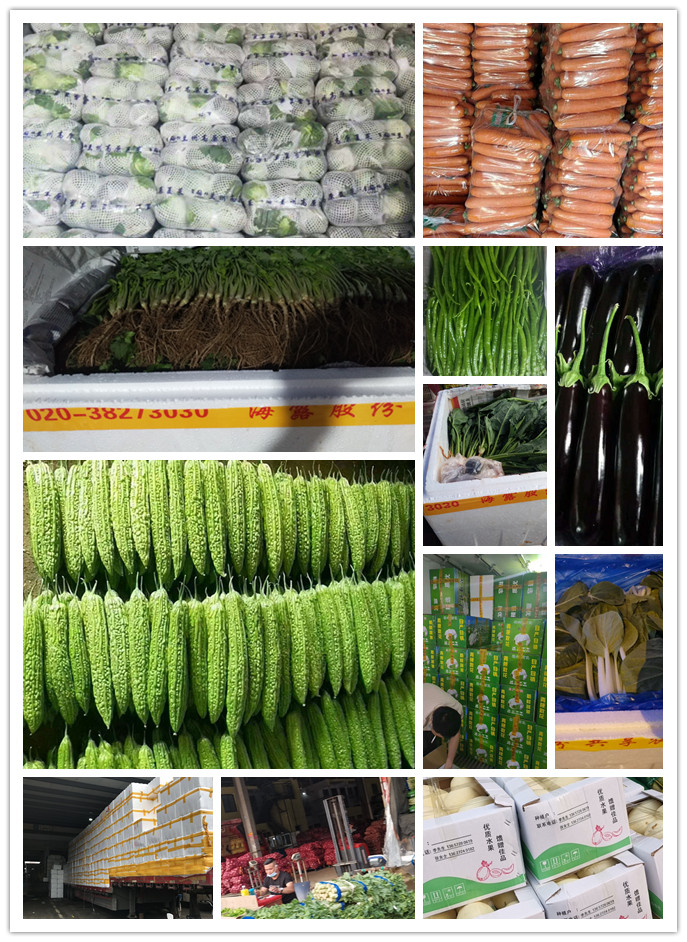 beat·365(中国)唯一官方网站