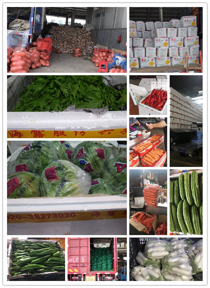 beat·365(中国)唯一官方网站