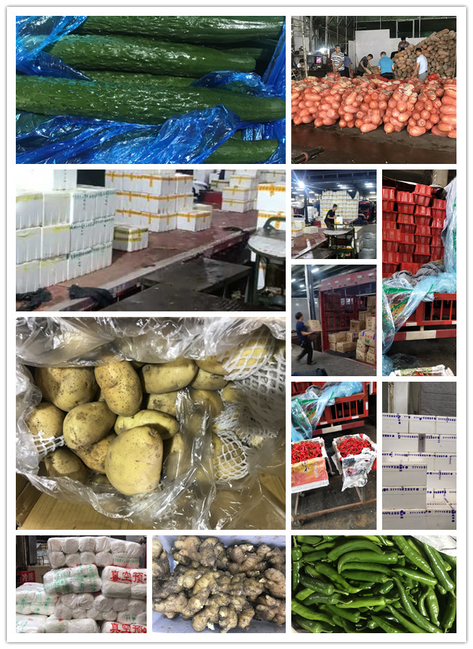 beat·365(中国)唯一官方网站