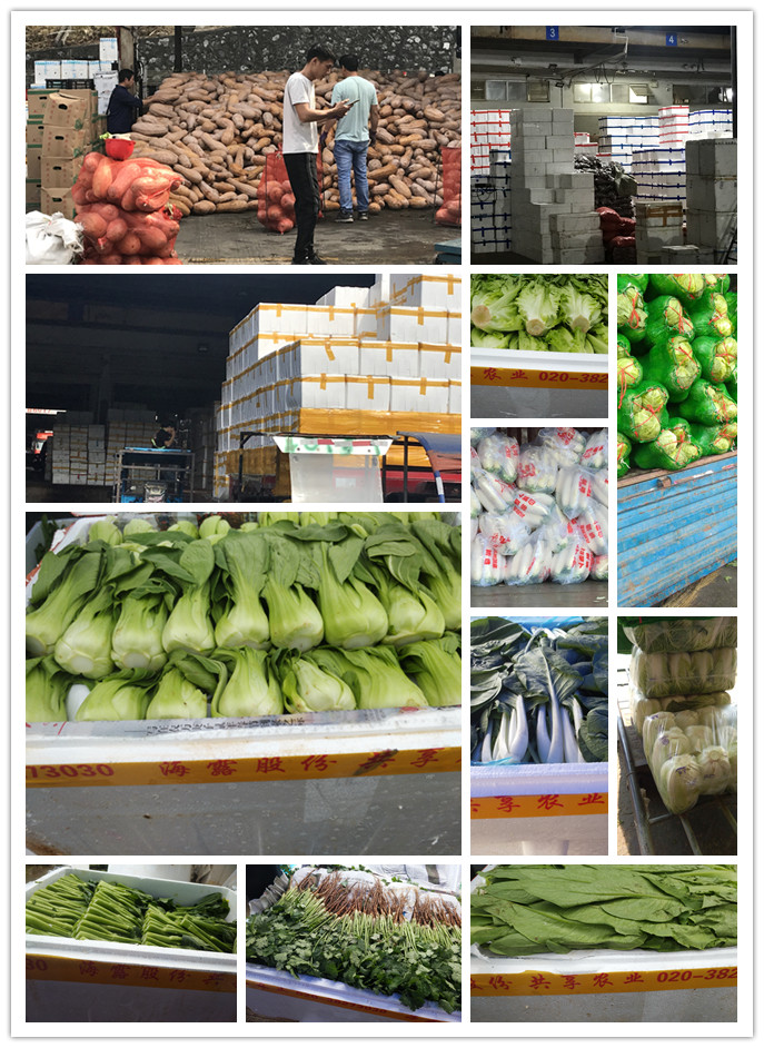 beat·365(中国)唯一官方网站