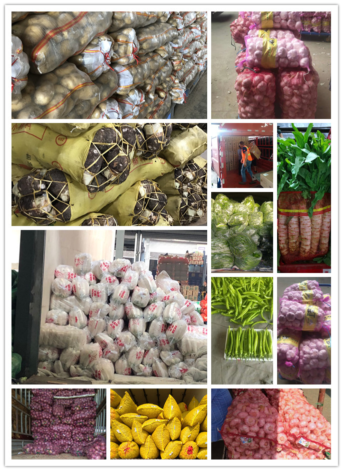 beat·365(中国)唯一官方网站