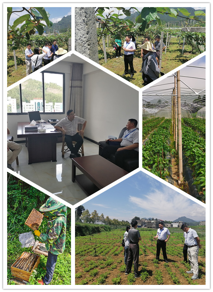 beat·365(中国)唯一官方网站