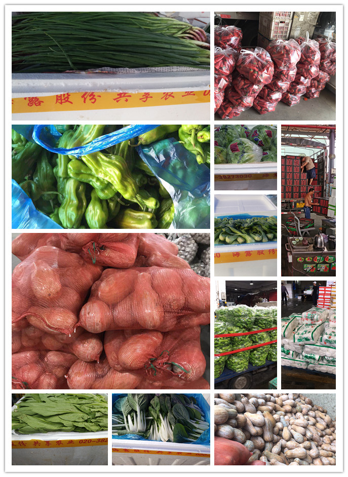 beat·365(中国)唯一官方网站