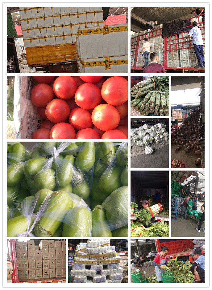 beat·365(中国)唯一官方网站