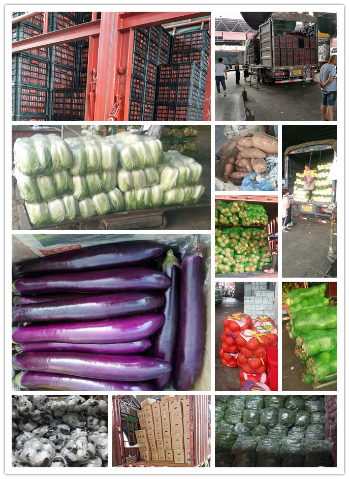 beat·365(中国)唯一官方网站