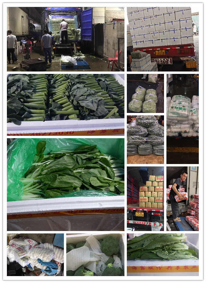 beat·365(中国)唯一官方网站