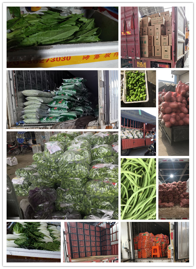 beat·365(中国)唯一官方网站