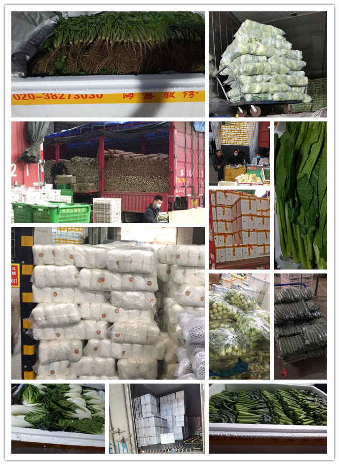 beat·365(中国)唯一官方网站