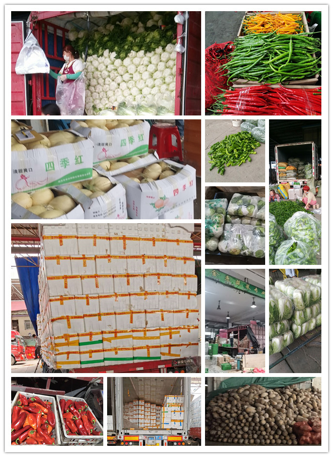 beat·365(中国)唯一官方网站