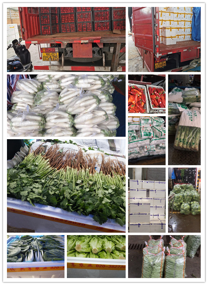 beat·365(中国)唯一官方网站