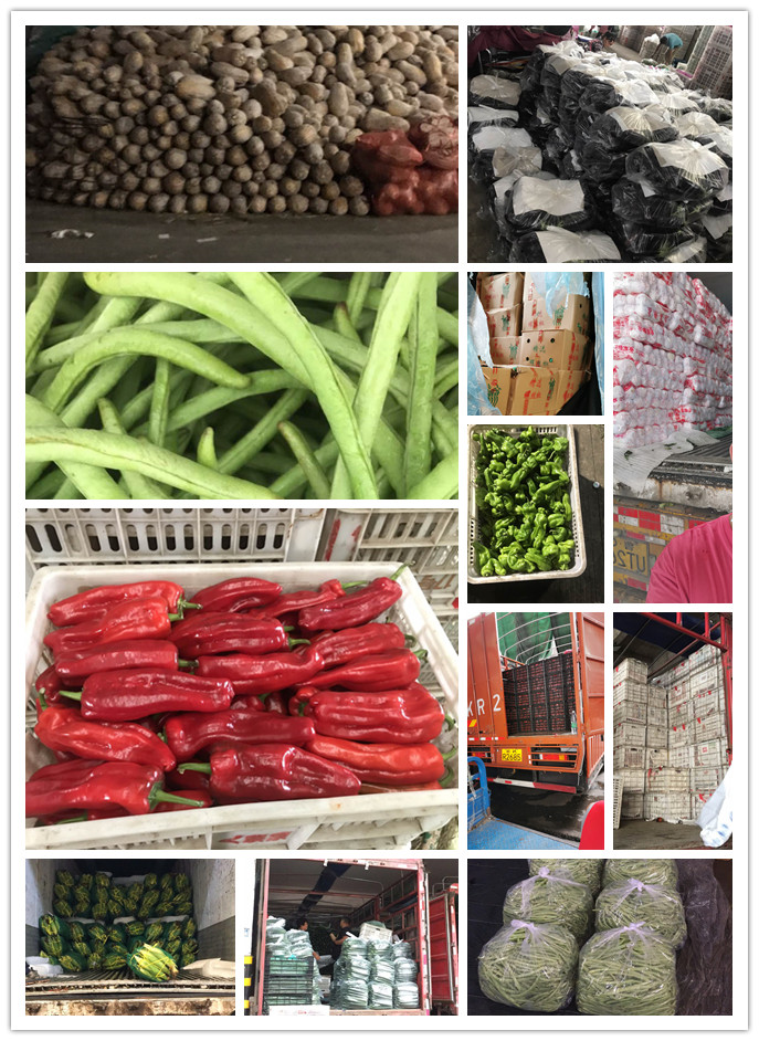 beat·365(中国)唯一官方网站