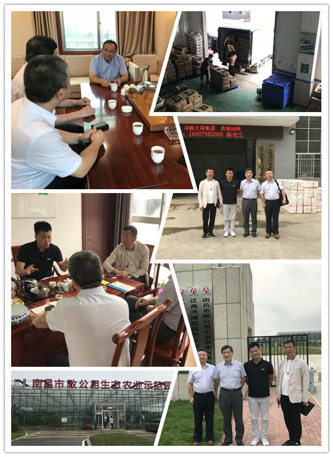 beat·365(中国)唯一官方网站