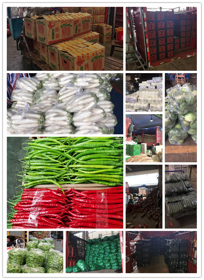 beat·365(中国)唯一官方网站