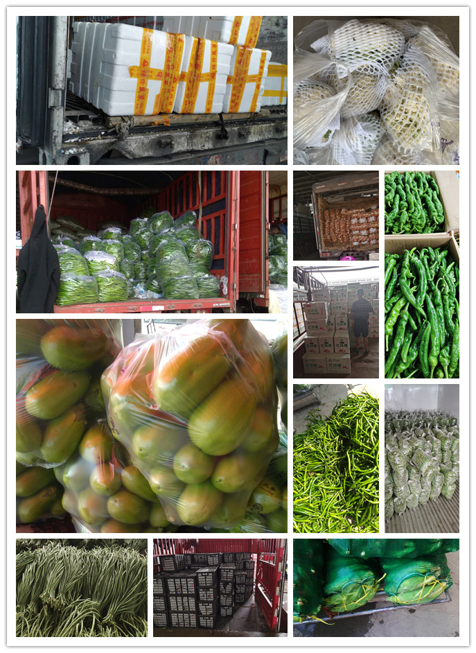 beat·365(中国)唯一官方网站