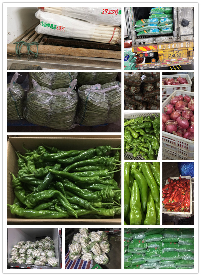 beat·365(中国)唯一官方网站