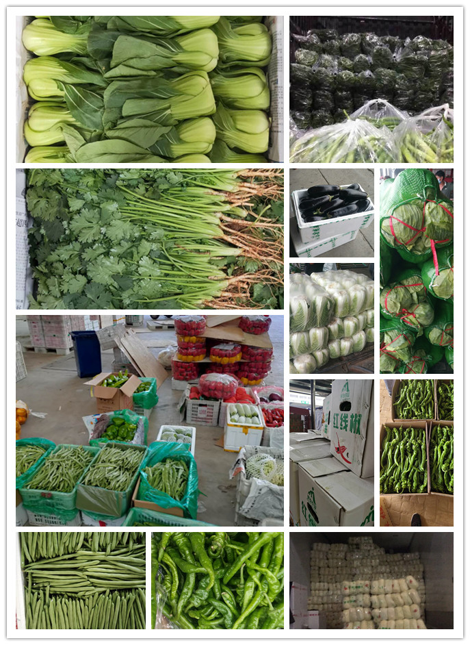 beat·365(中国)唯一官方网站