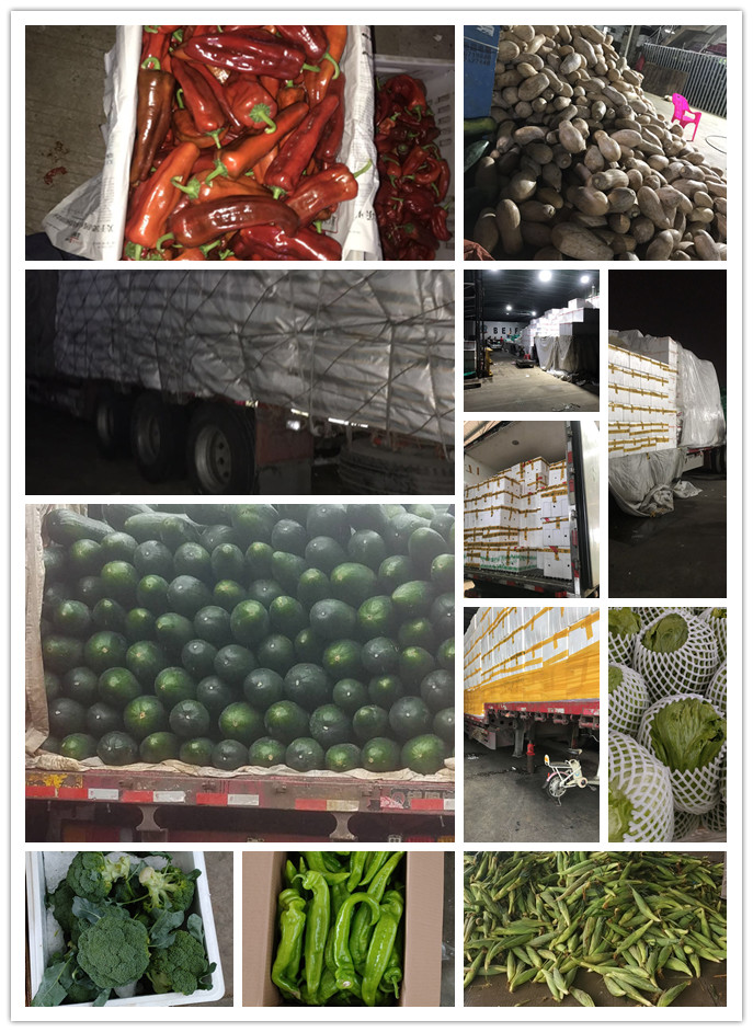 beat·365(中国)唯一官方网站