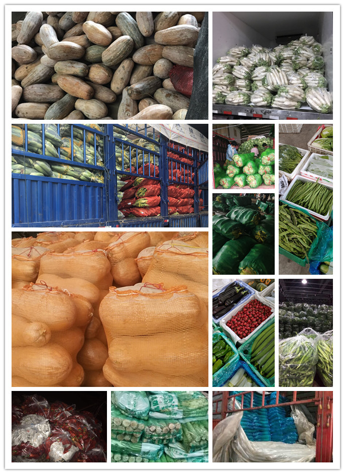 beat·365(中国)唯一官方网站