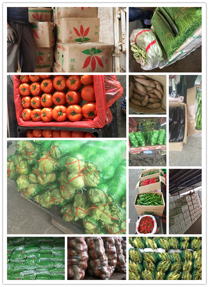 beat·365(中国)唯一官方网站