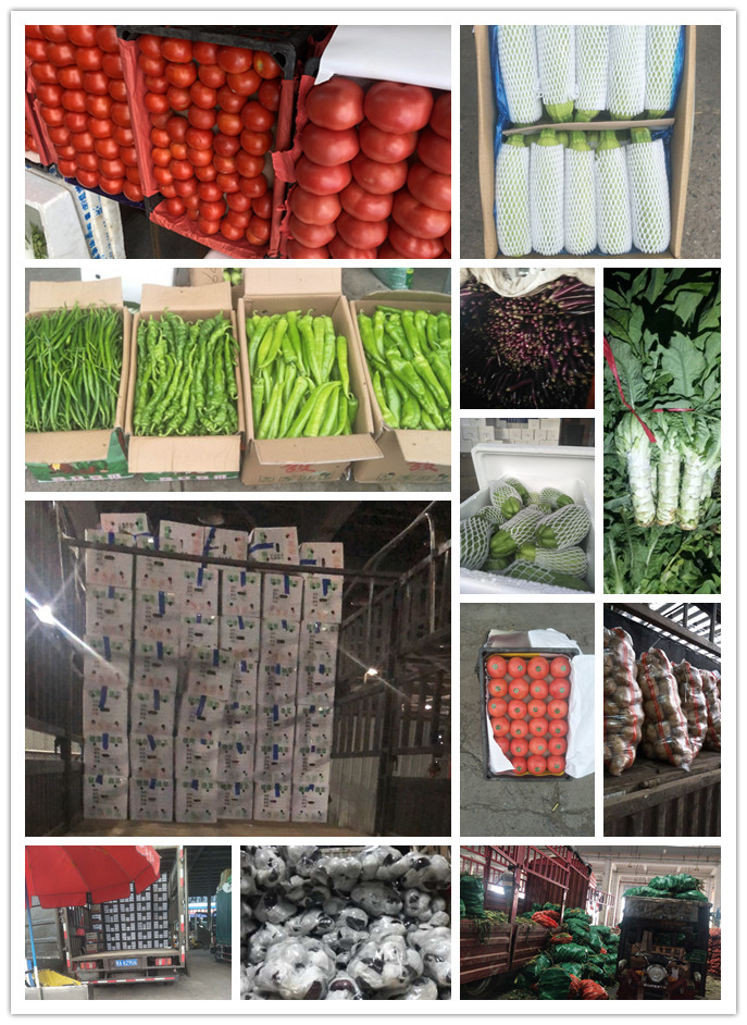 beat·365(中国)唯一官方网站